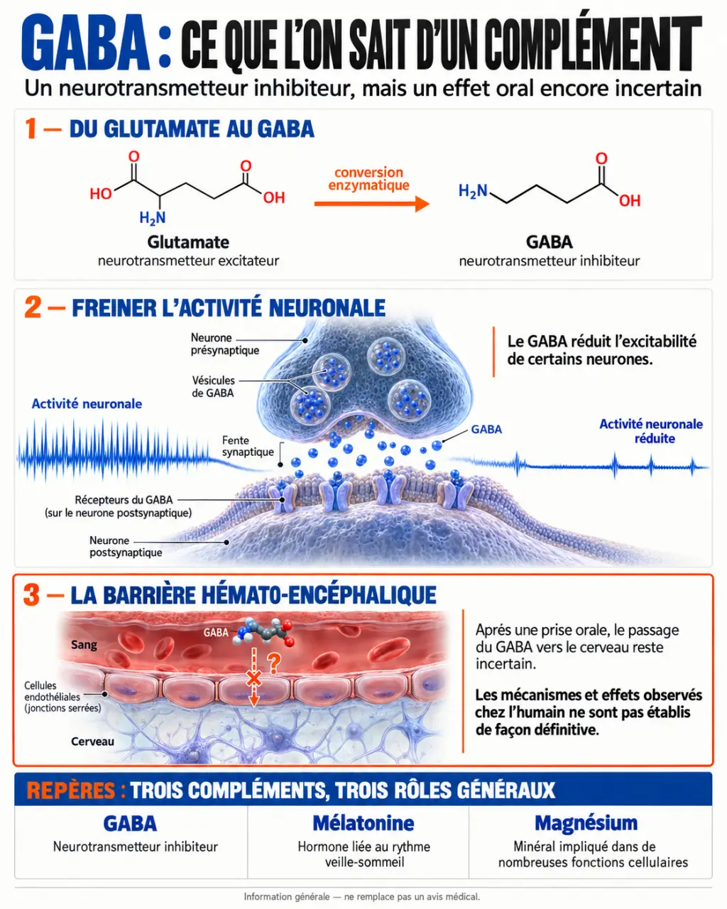 Infographie sur le GABA en complément alimentaire, son rôle inhibiteur et les limites de la supplémentation orale